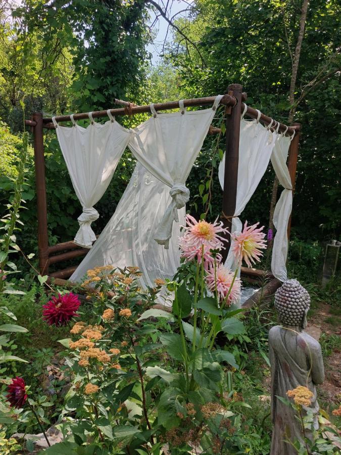 Chambres D'Hotes Dans Mas Avec Jardin En Bord De Riviere Saumane エクステリア 写真